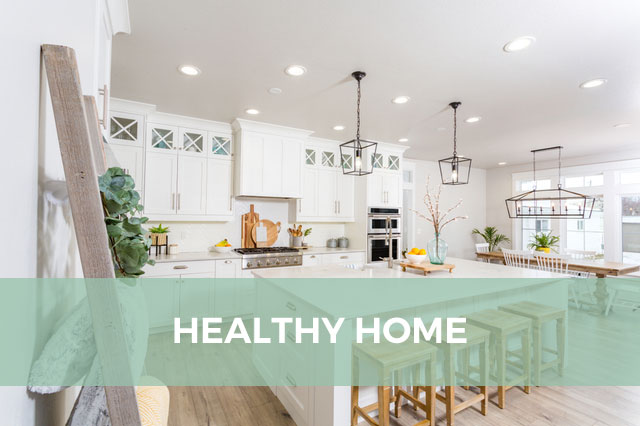 Healthy-Home-Active