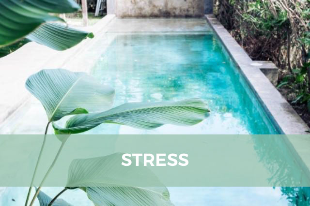 STRESS